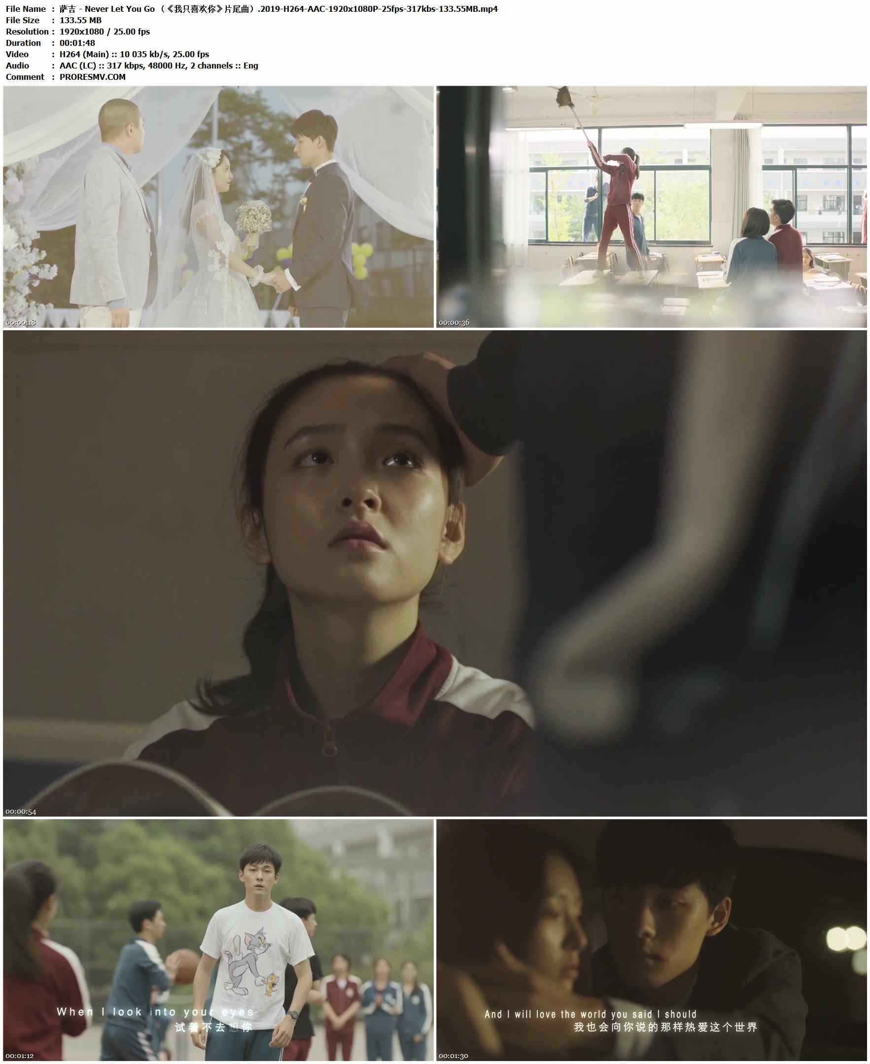 萨吉 - Never Let You Go （《我只喜欢你》片尾曲）.2019-H264-AAC-1920x1080P-25fps-317kbs-133.55MB官方MV_高清MV
